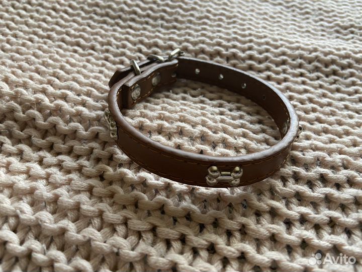 Ошейник для маленькой собаки