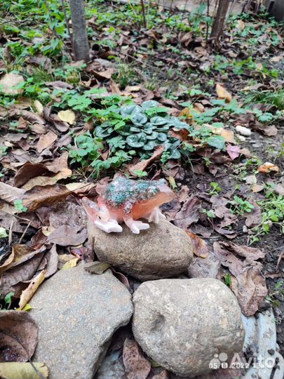 Садовые фигуры