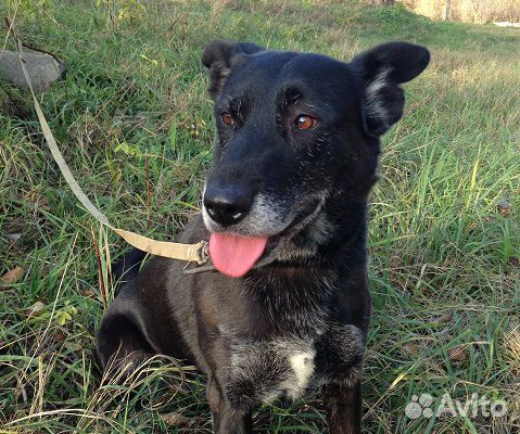 Роскошная Лола: шик, блеск, красота