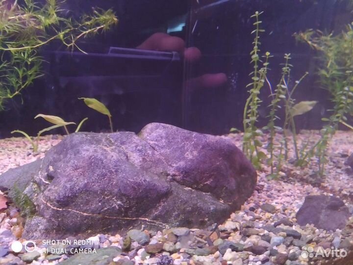 Аквариум / террариум на заказ