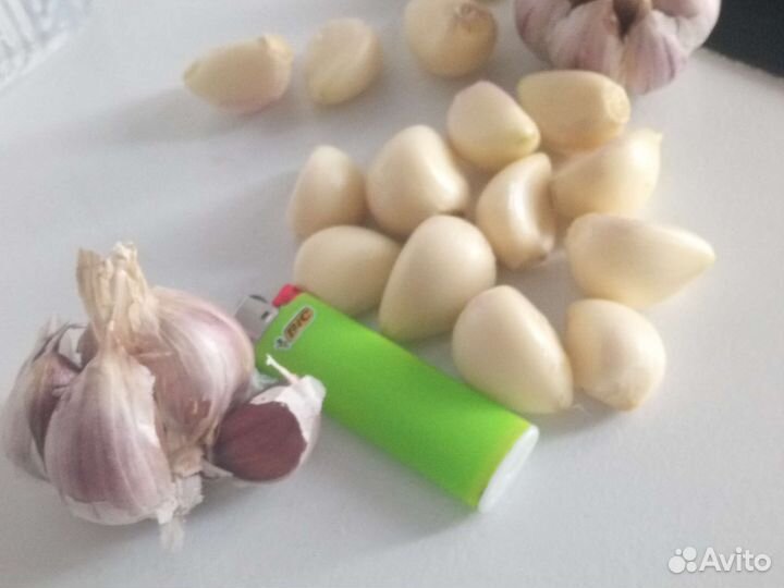 Чеснок