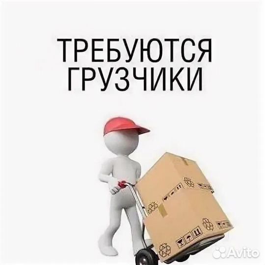 Грузчик экспедитор