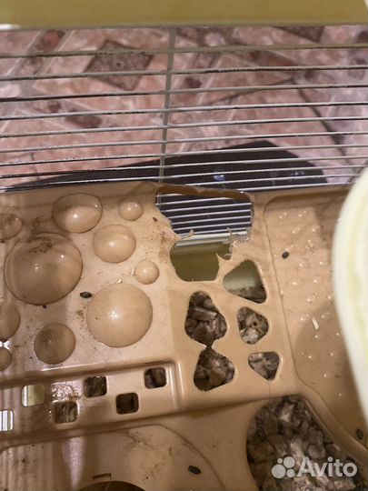 Клетка для грызунов