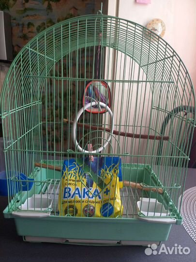 Клетка для волнистого попугая бу