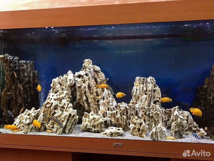 Камни Миотис, Ракушечник для аквариума и ландшафта