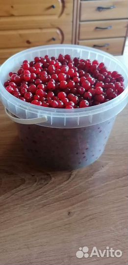 Красная смородина