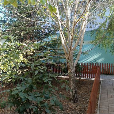 Комната 20 м² в 5-к., 1/1 эт.