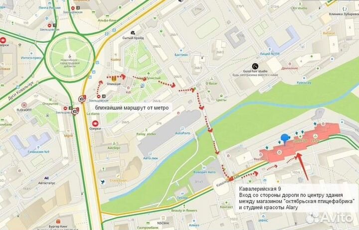 Демисезонный костюм дюспо Лес