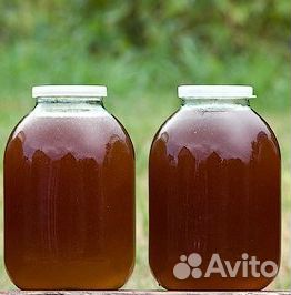 Мед оптом свежий урожай