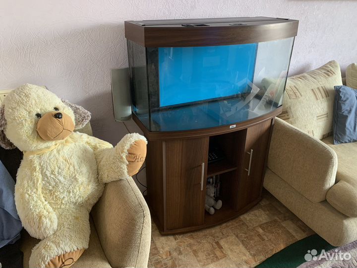 Аквариум с тумбой juwel панорамный 180