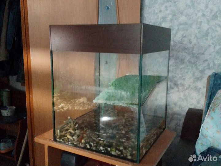 Террариум для красноухой черепахи