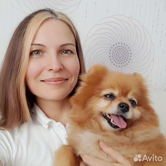 Передержка животных/собак/кошек, зооняня, присмотр