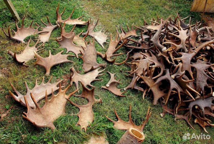 Скупают металл