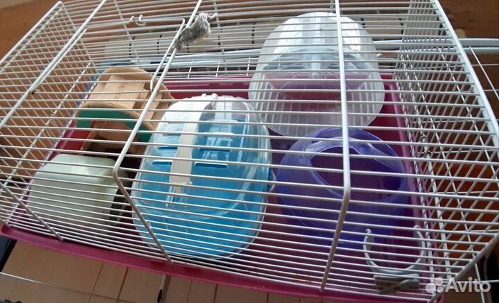 Клетка для джунгарского хомяка