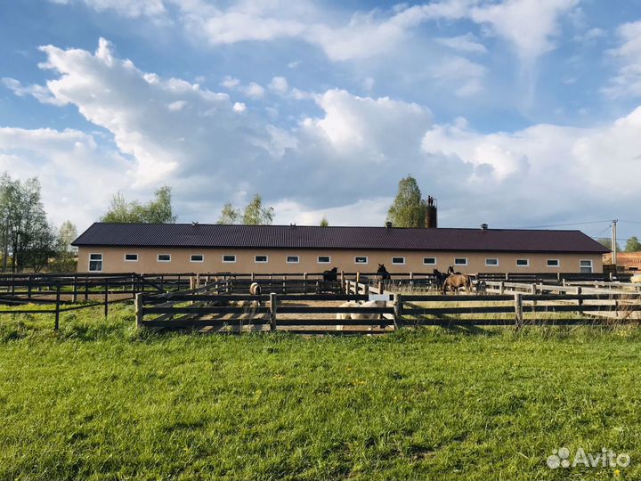 Приглашаем на постой