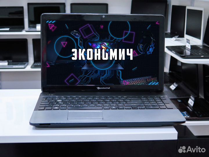 Ноутбук Packard bell для учебы и работы + Гарантия