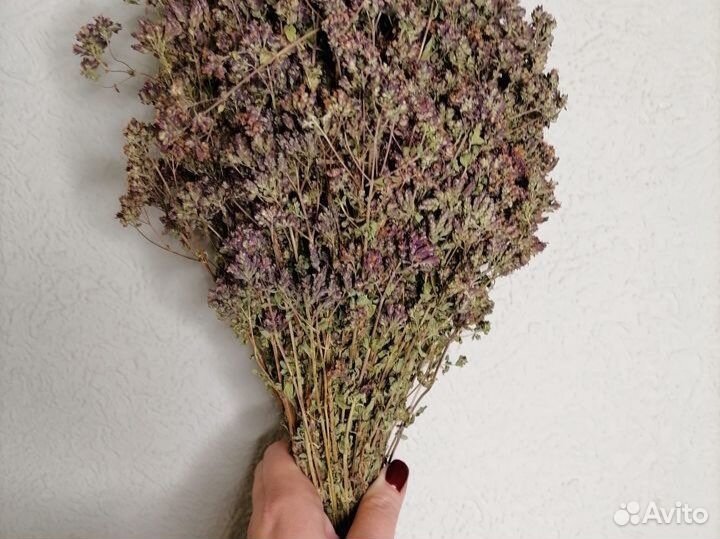 Лекарственные травы от заготовителей