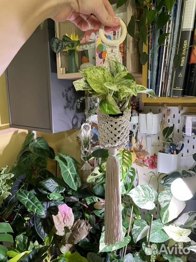 Макраме подвесное для растений
