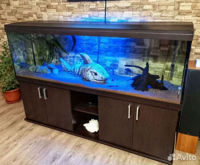 Аквариумы на заказ и в наличии
