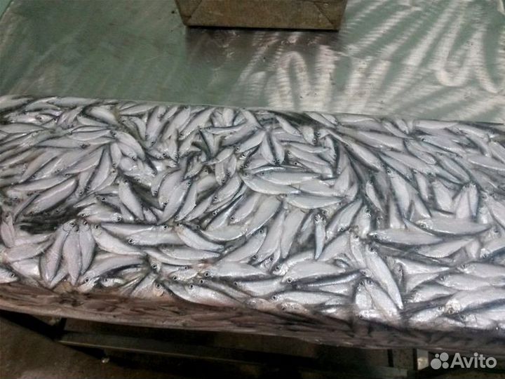 Рыба и морепродукты оптом
