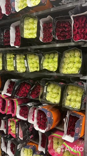 Розы большой выбор