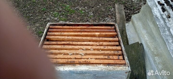 Ульи пчелиный, б/у