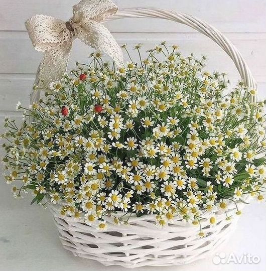 Цветы ромашки. Букеты ромашек. Цветы доставка