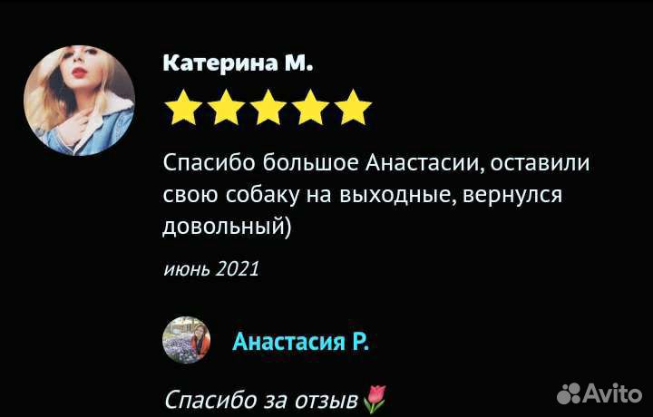 Передержка собак