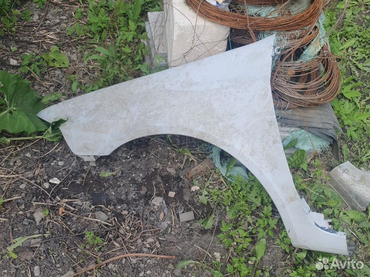 Крылья передние