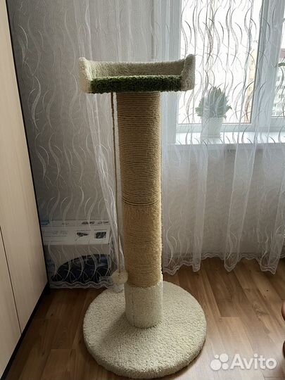 Когтеточка