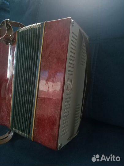 Аккордеон детский