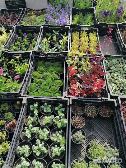 Чернозем,Перегной 1г,Навоз Коровий,Торфосмесь,ЗИЛ