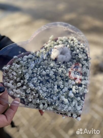 Цветная гипсофила