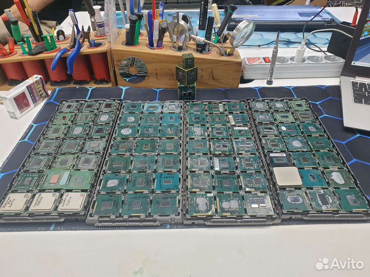 Процессоры для ноутбуков intel amd