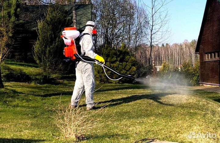 Уничтожение клопов тараканов грибка плесени