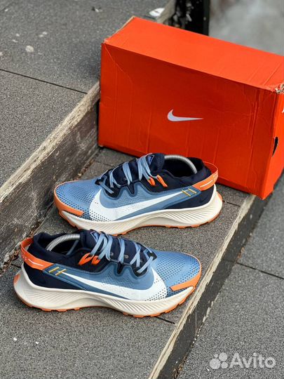 Кроссовки Nike Pegasus синие легкие