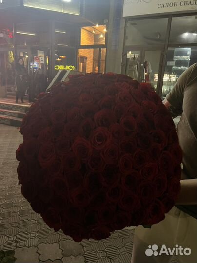 Розы 101 Симферополь