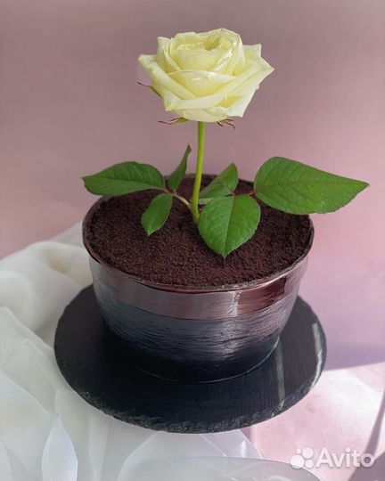 Торт/капкейки