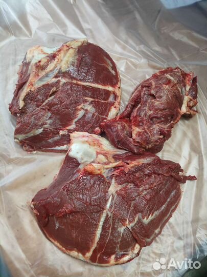 Продам мясо конина