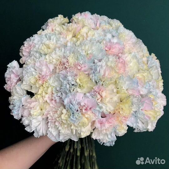 Акварельные диантусы