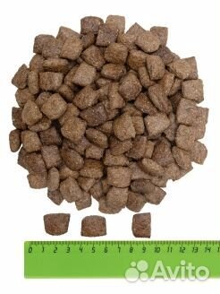 Корм для собак