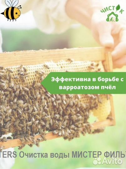 Щавелька 1 кг № 40687253 Россия