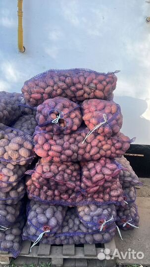 Картофель с доставкой