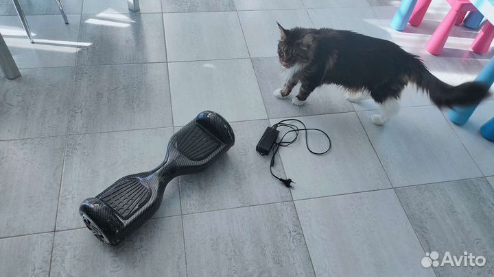 Гироскутер