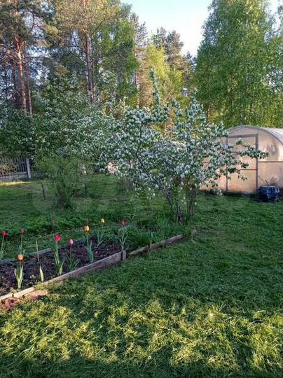 Дача 20 м² на участке 8 сот.