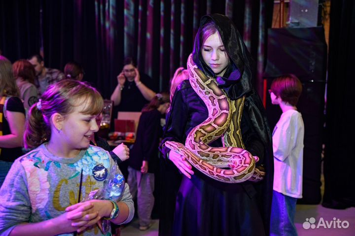 Билеты на детский праздник в стиле Гарри Поттера