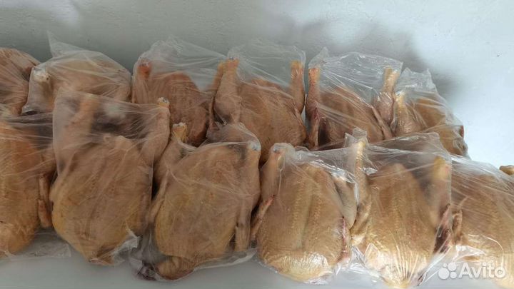 Домашние куры бройлеры