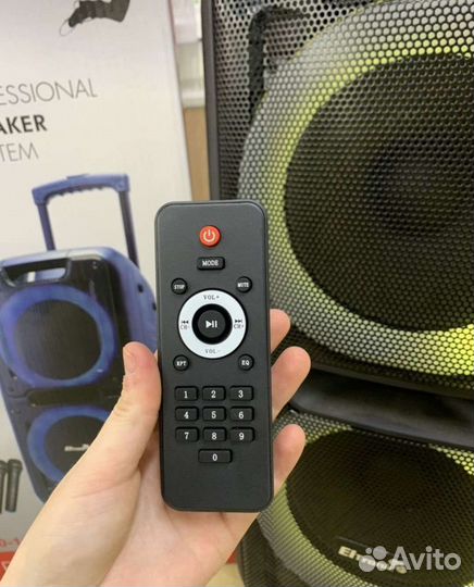 Колонка мощная 800 Вт