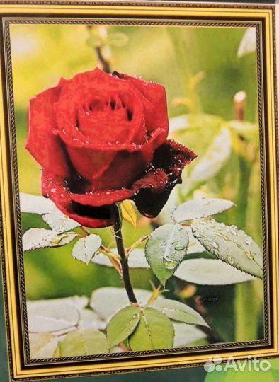 Алмазная живопись