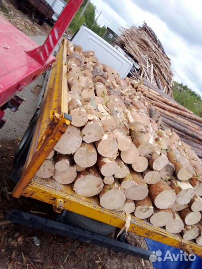 Дрова сосна